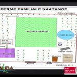 Les fermes Naatangué - ANIDA - El Hadj Malick Sarr